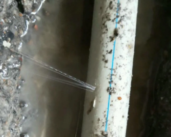 轮台卫生间测漏水多少钱