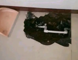轮台卫生间测漏水多少钱